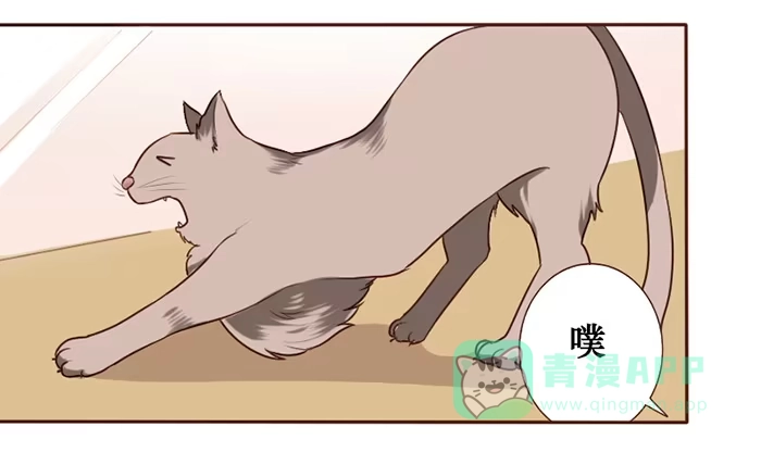 《脸盲少女》第026话 第1页