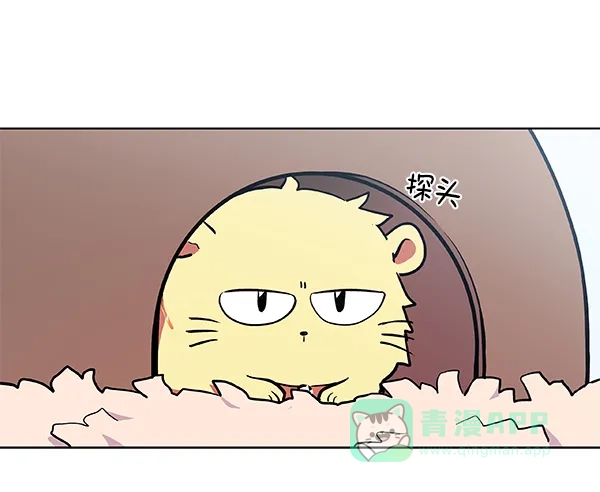 《恋上女网红》第55话 第52页