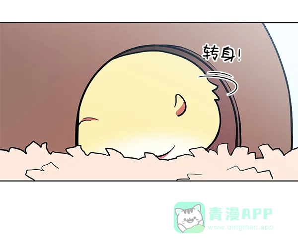《恋上女网红》第55话 第53页