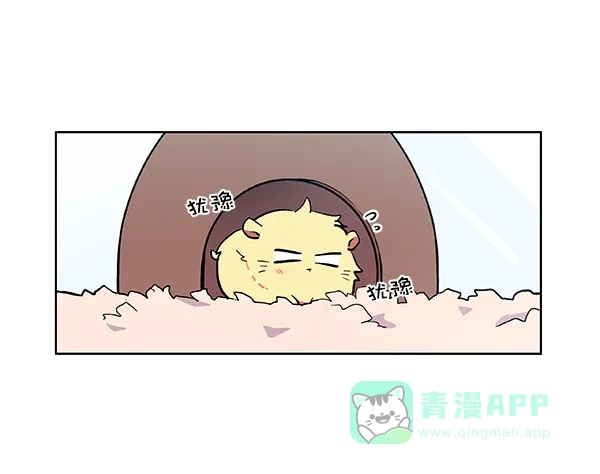 《恋上女网红》第55话 第57页
