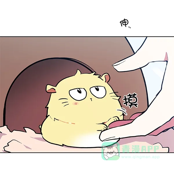 《恋上女网红》第55话 第58页