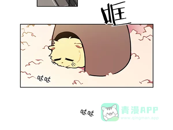 《恋上女网红》第77话 第9页