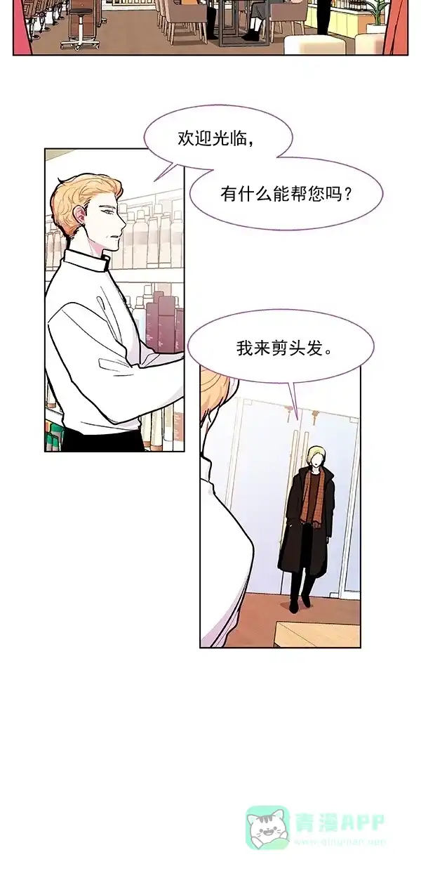 《恋上女网红》第98话 第31页