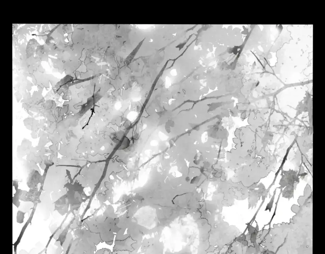 《涟香惜玉》安知我意 第5页