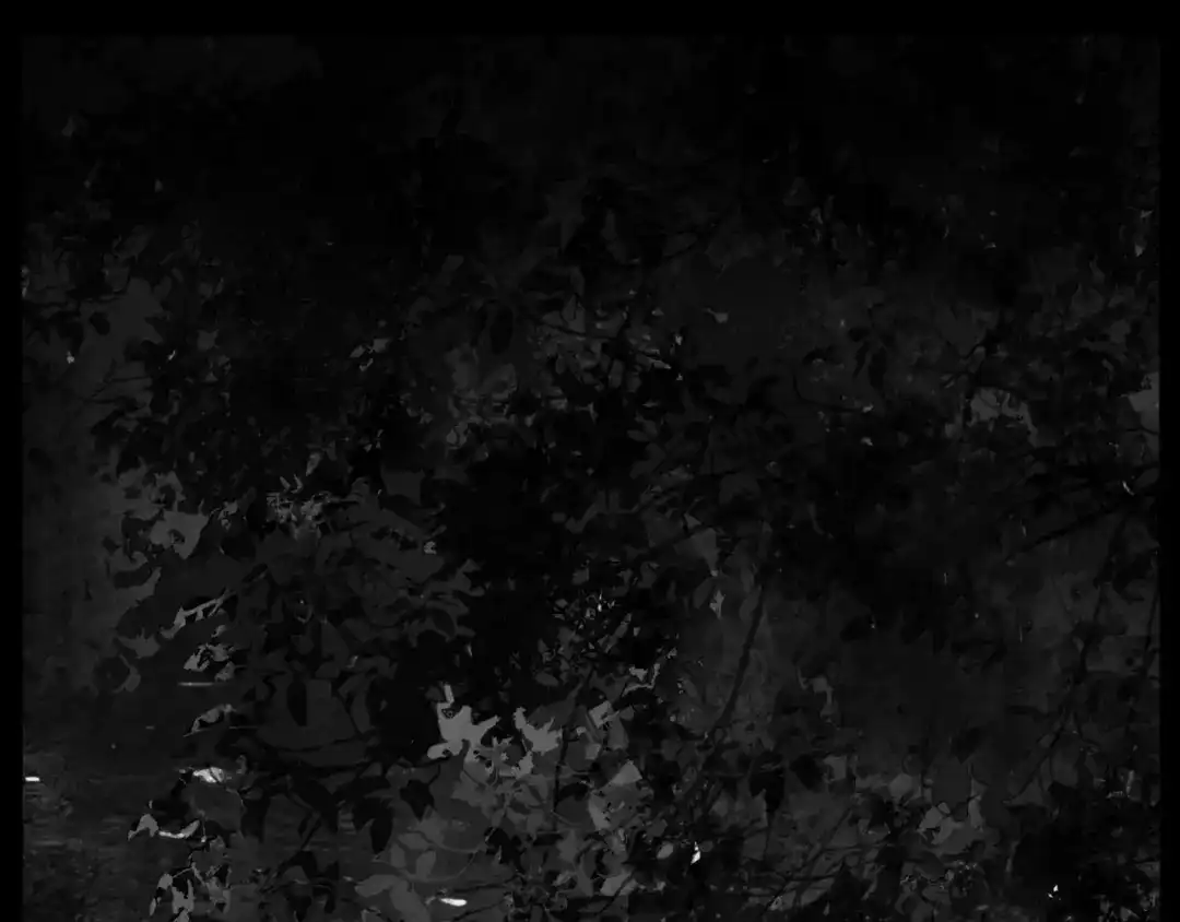 《涟香惜玉》唯有一心 第123页