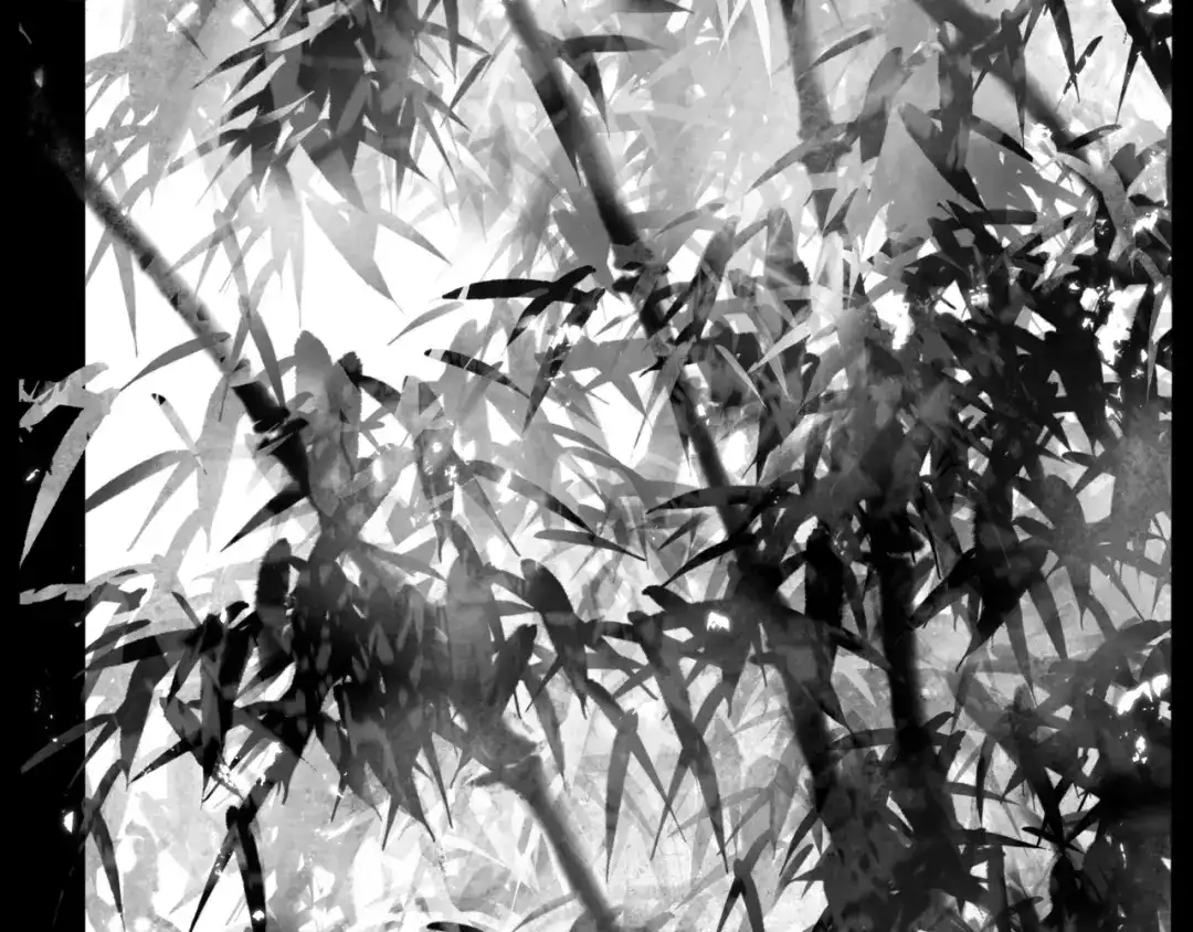 《涟香惜玉》唯有一心 第101页