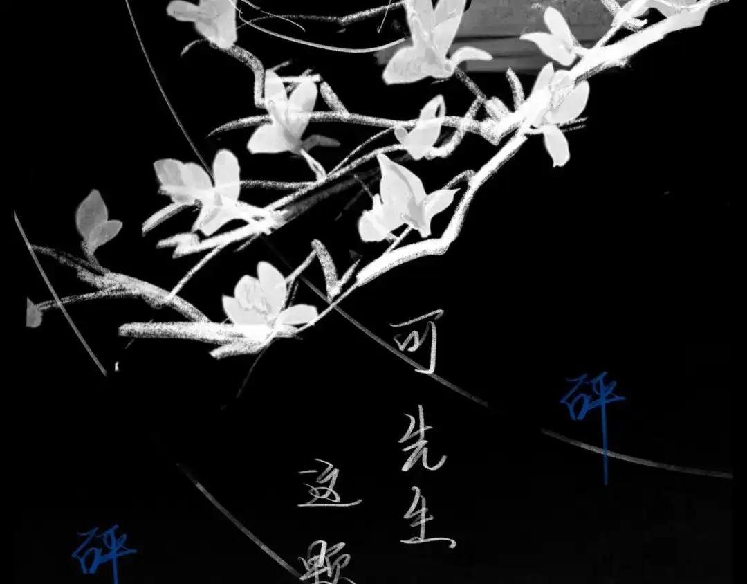 《涟香惜玉》唯有一心 第178页