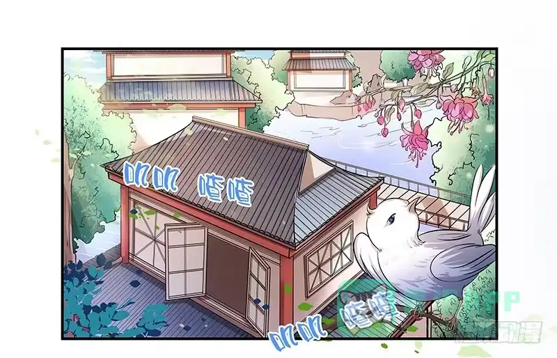 《撩撩人身修仙传》预告 第1页