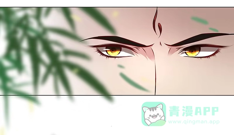 《撩撩人身修仙传》九幽青冥 第1页