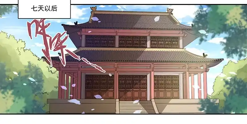 《撩撩人身修仙传》元丹 第13页