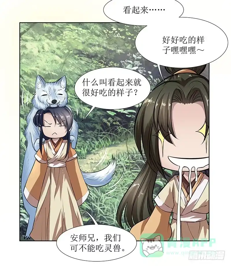 《撩撩人身修仙传》灵兽 第16页