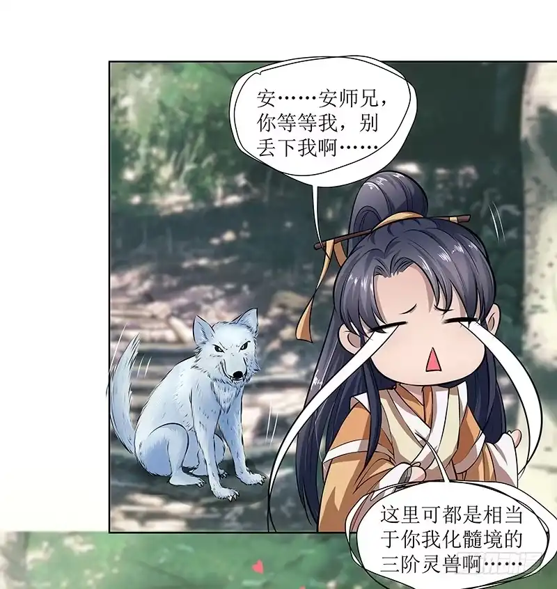 《撩撩人身修仙传》灵兽 第10页