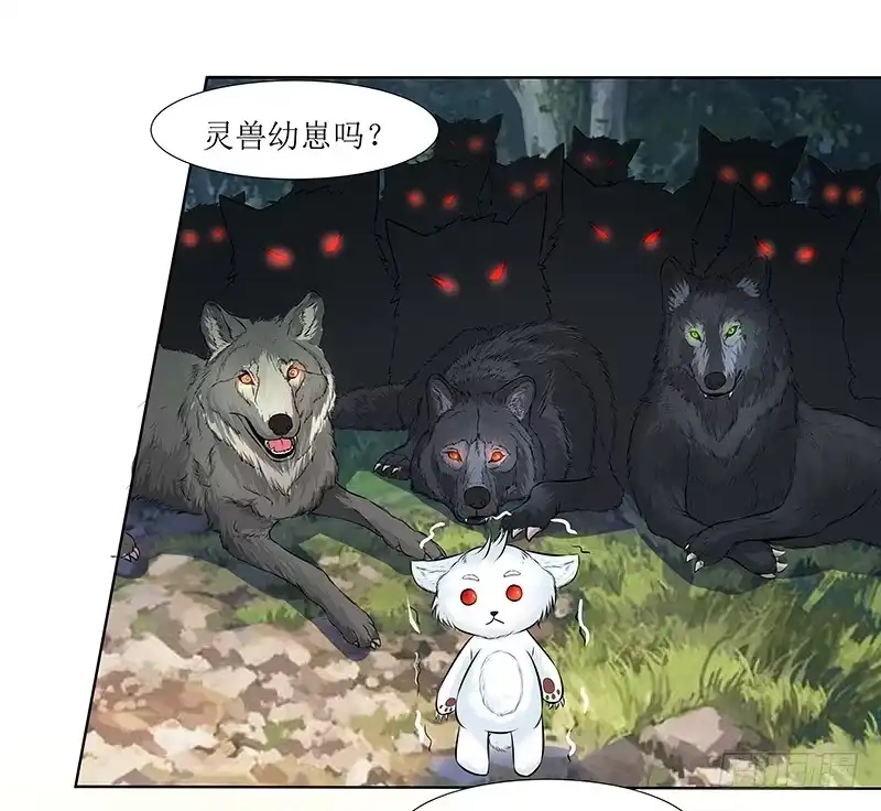 《撩撩人身修仙传》灵兽 第15页