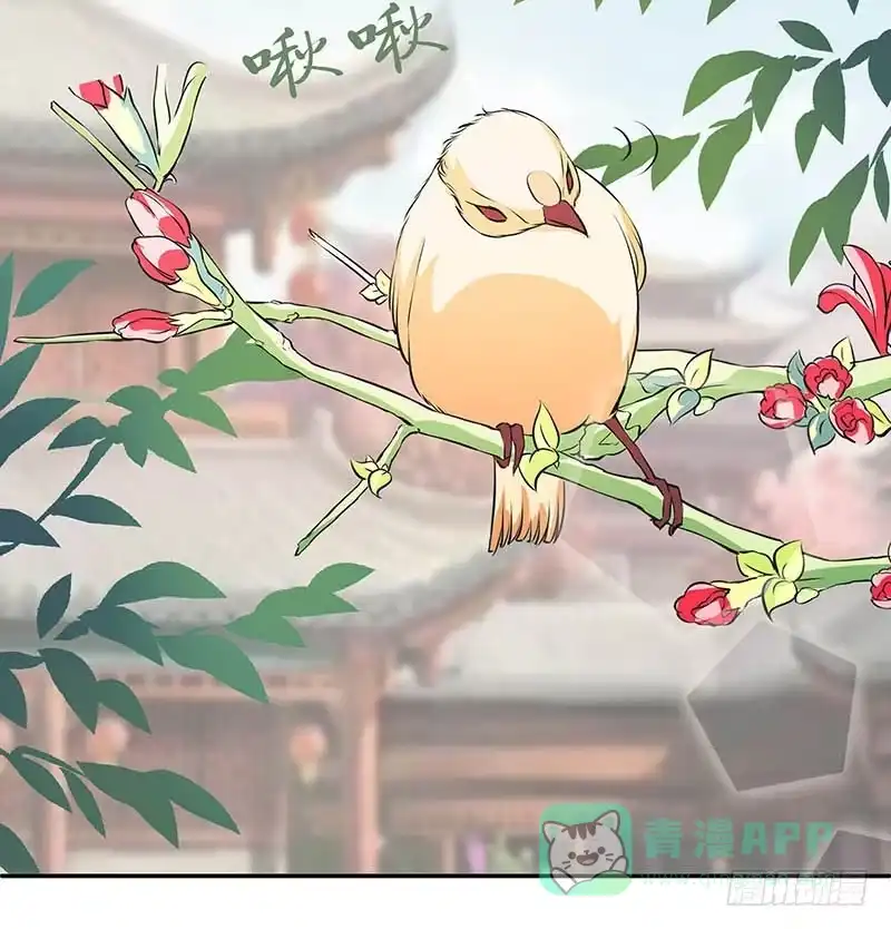 《撩撩人身修仙传》你的命交给我吧！ 第16页