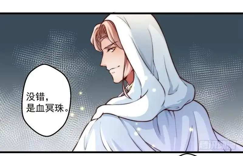 《撩撩人身修仙传》总有反派手下想复活boss 第15页