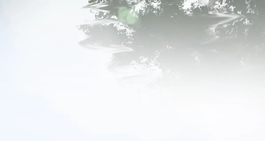 《离尘》第3话 怨气满溢之地 第31页
