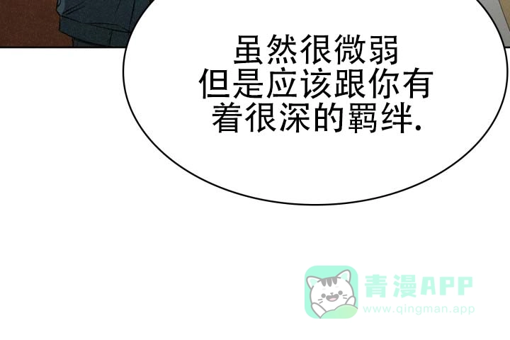 《猎狐》第23话 第26页