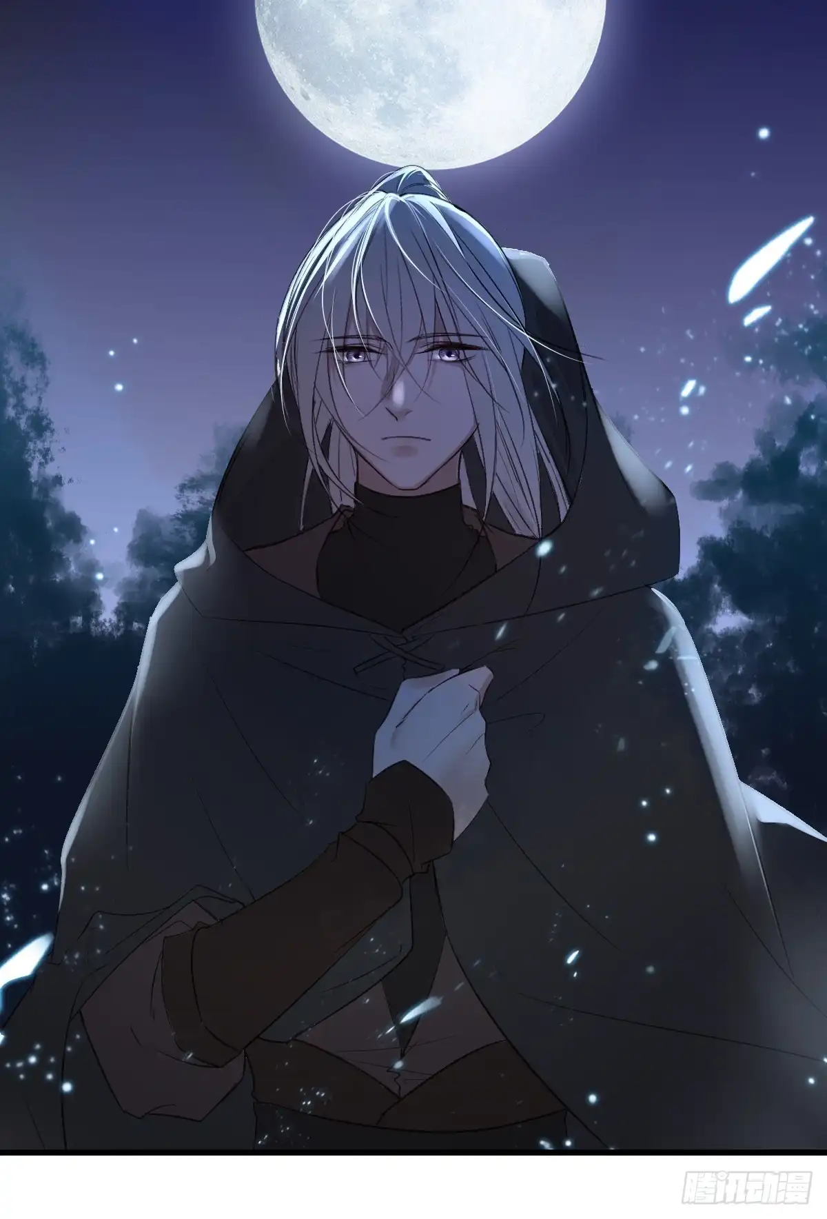 《烈火狂妃：兽性王爷硬要宠》巫缘与巫奇 第17页