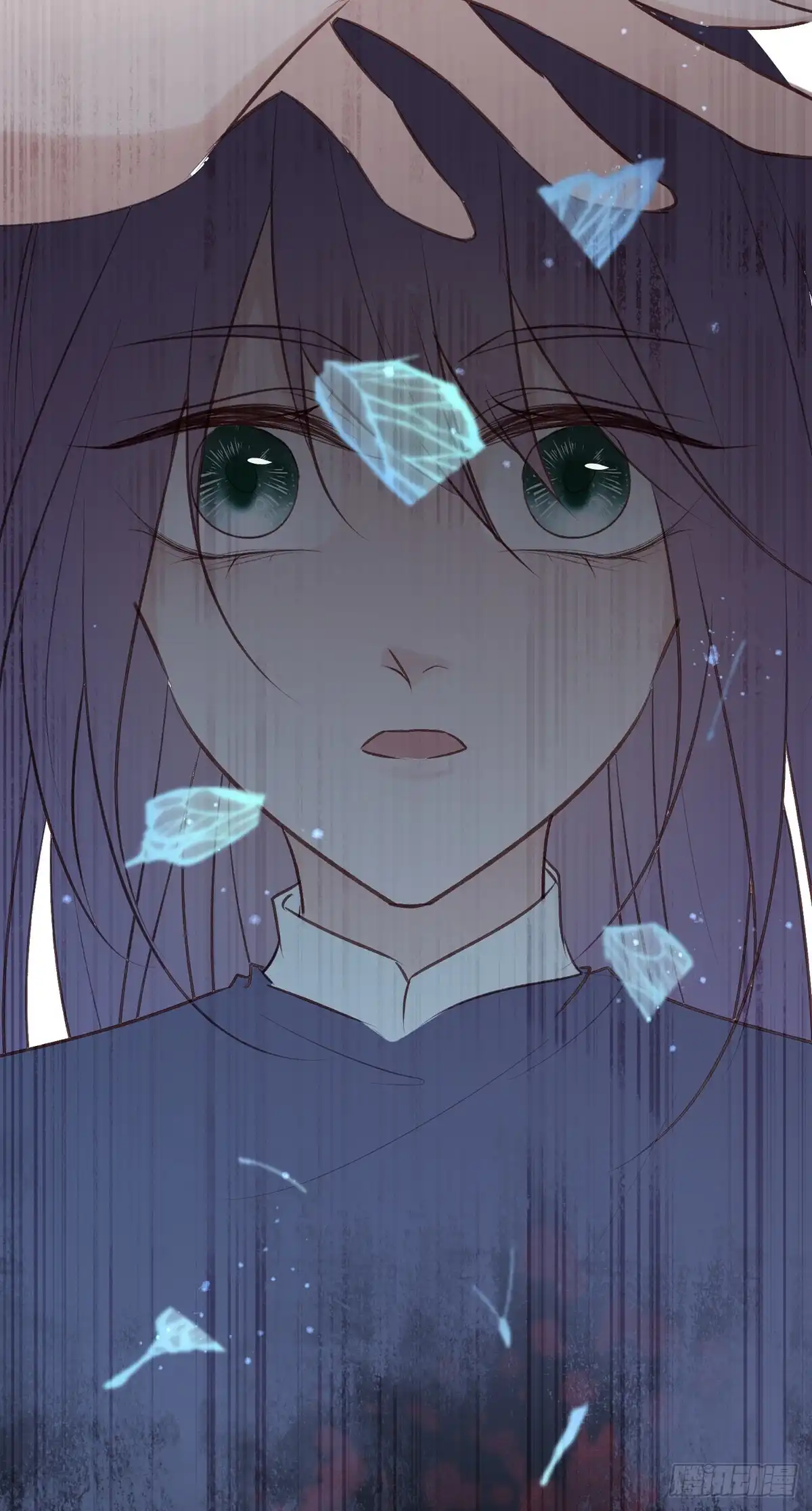 《烈火狂妃：兽性王爷硬要宠》无踪城城主 第37页