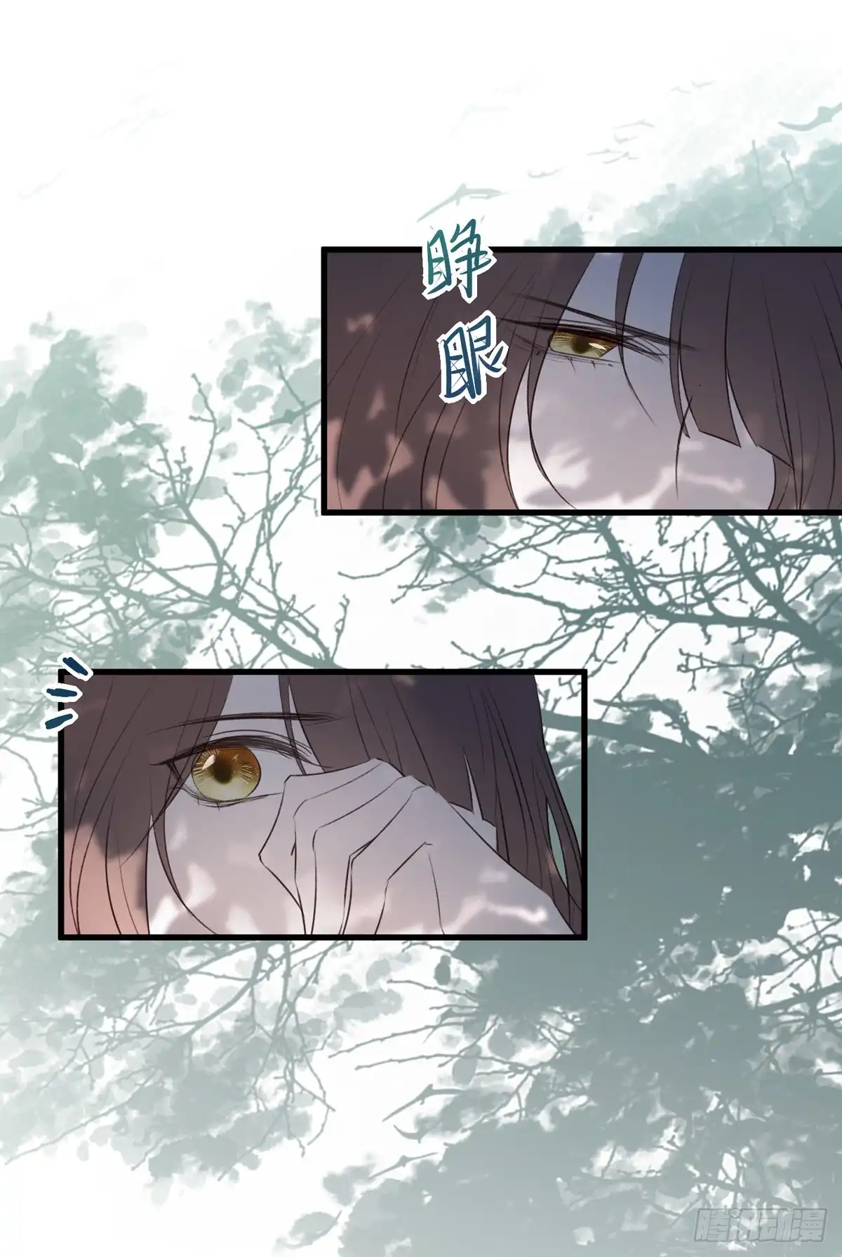 《烈火狂妃：兽性王爷硬要宠》去往玄天大陆 第29页