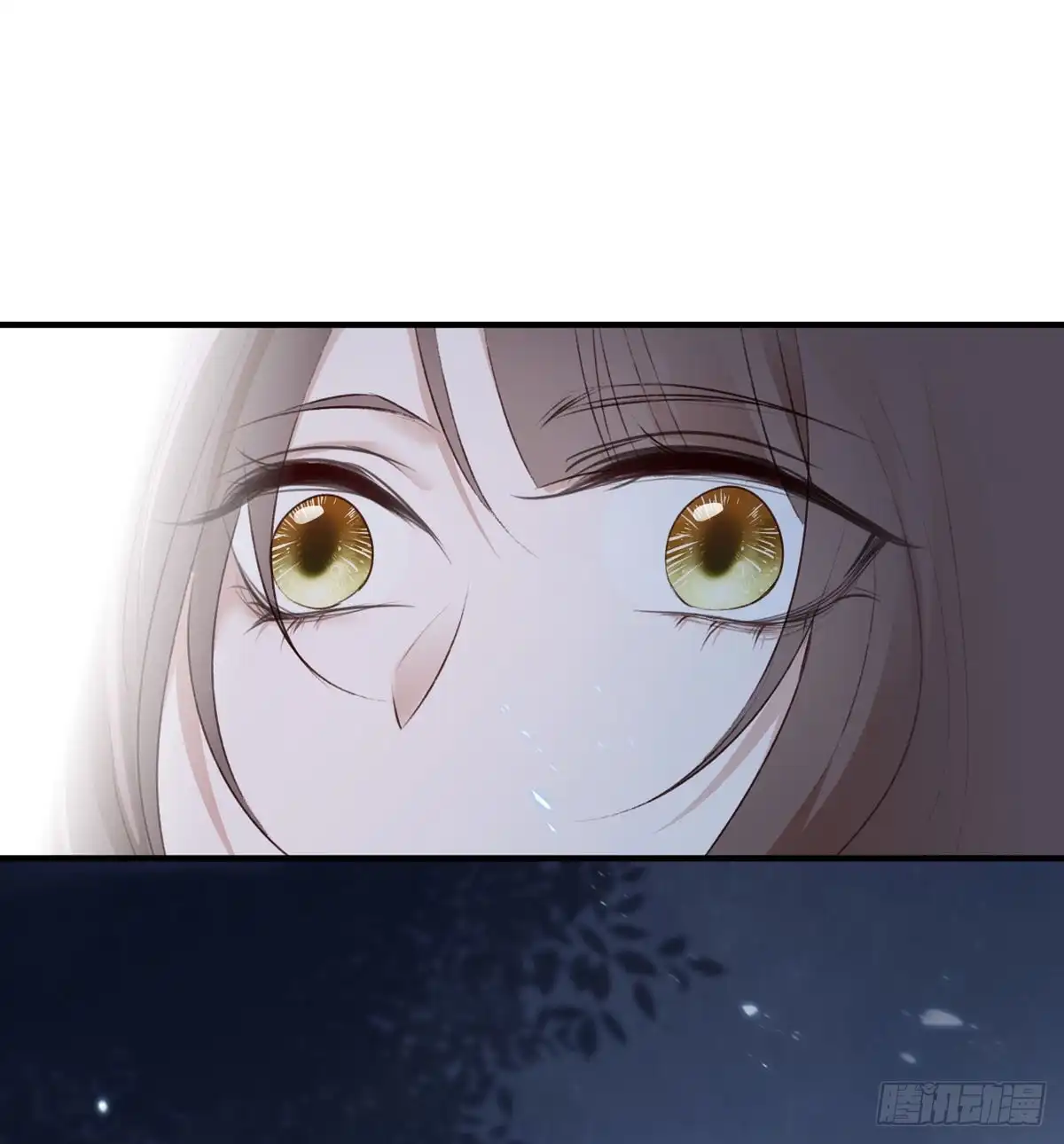 《烈火狂妃：兽性王爷硬要宠》你的未来会一直有我 第5页