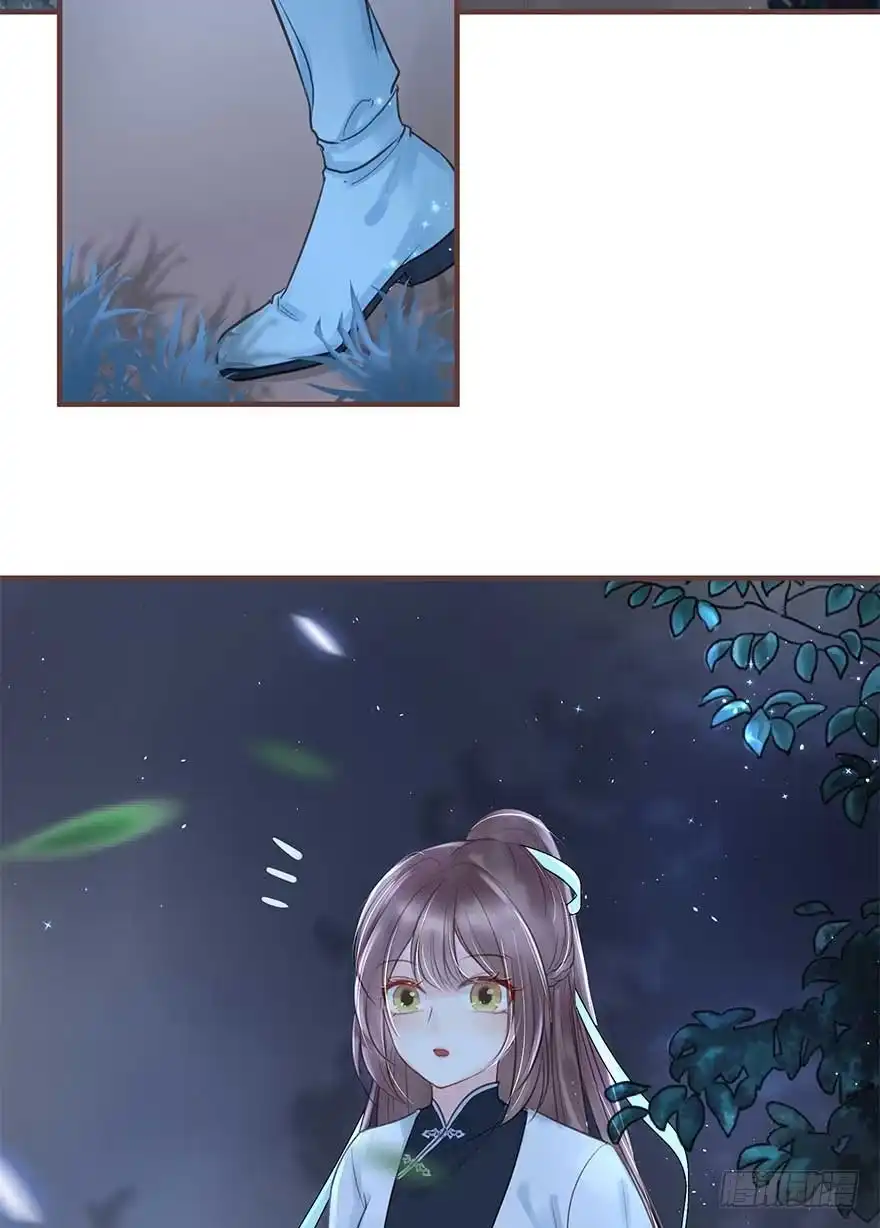 《烈火狂妃：兽性王爷硬要宠》二号恶毒女配·凤秀佩出场 第12页