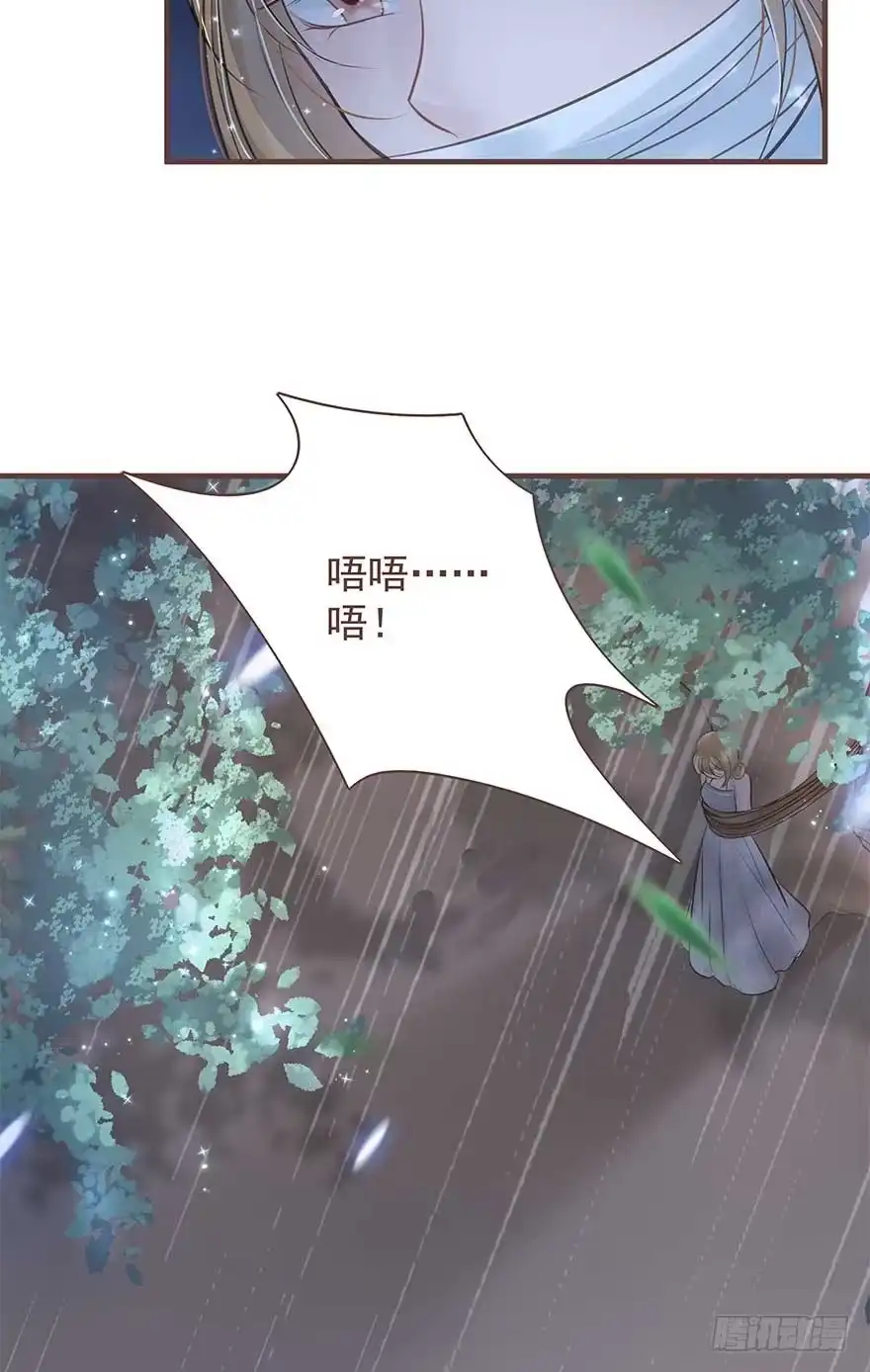 《烈火狂妃：兽性王爷硬要宠》二号恶毒女配·凤秀佩出场 第9页