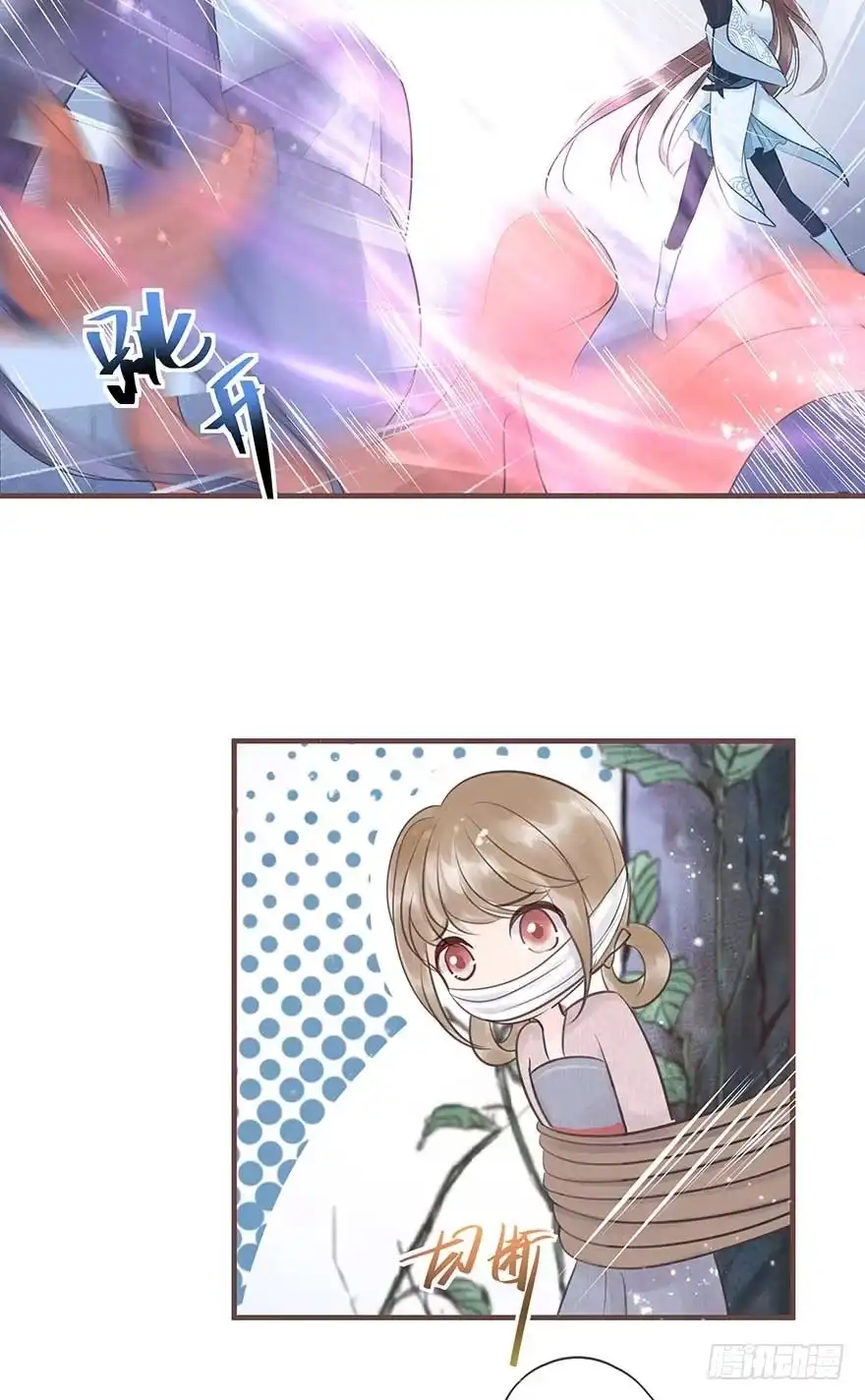 《烈火狂妃：兽性王爷硬要宠》二号恶毒女配·凤秀佩出场 第22页