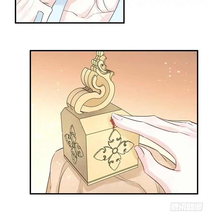 《烈火狂妃：兽性王爷硬要宠》舅舅也来给我撑腰了~ 第34页