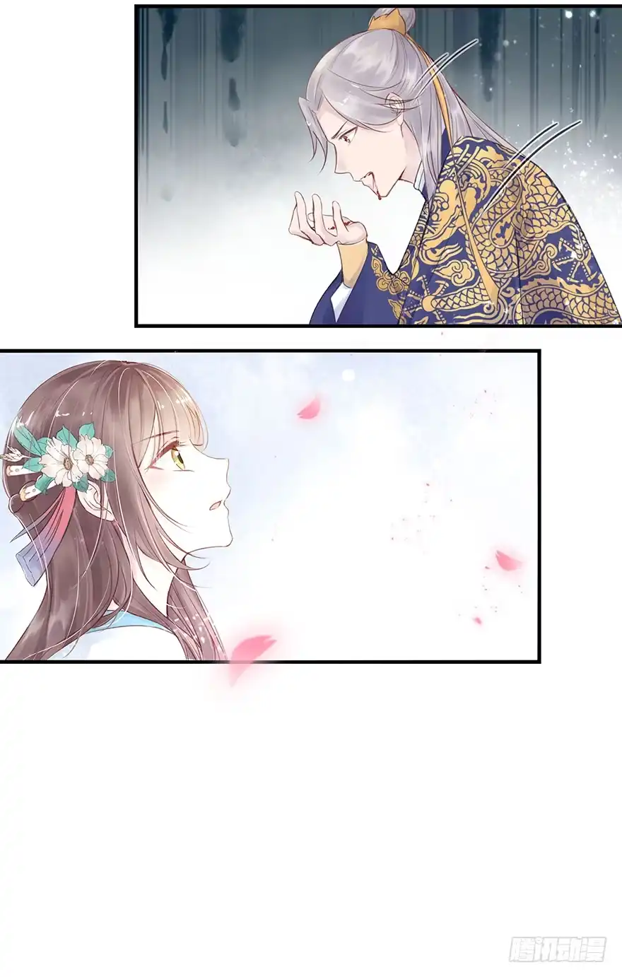 《烈火狂妃：兽性王爷硬要宠》002泼妇会武术，谁也挡不住 第28页