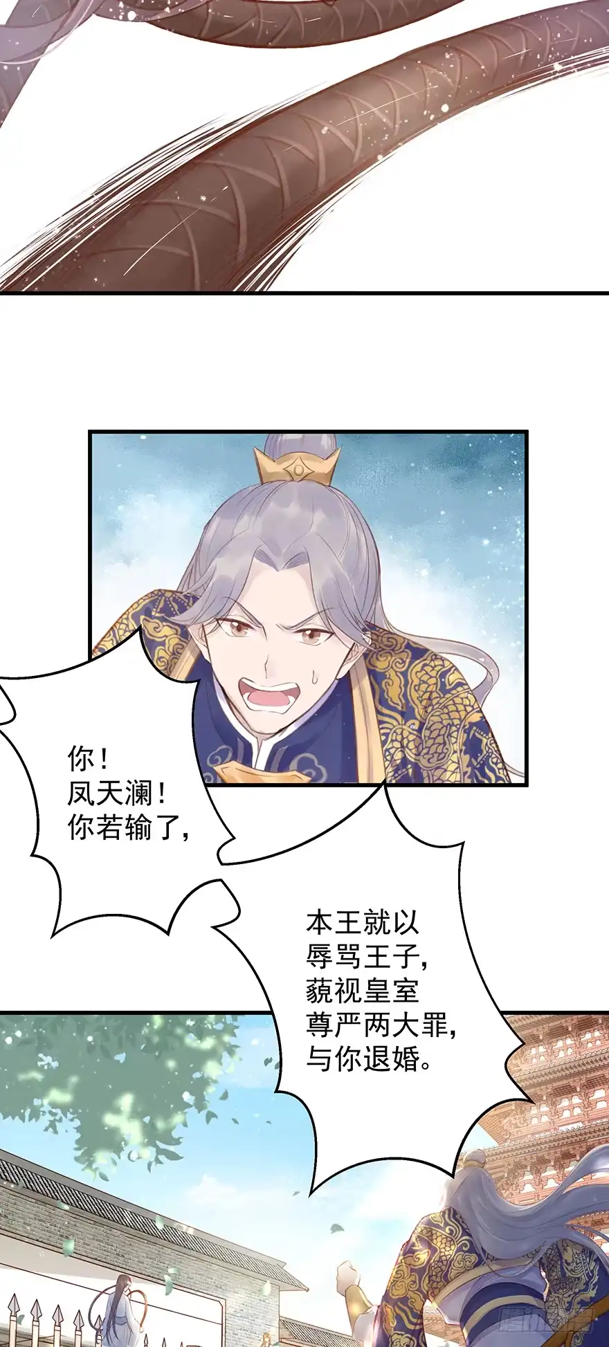 《烈火狂妃：兽性王爷硬要宠》002泼妇会武术，谁也挡不住 第11页