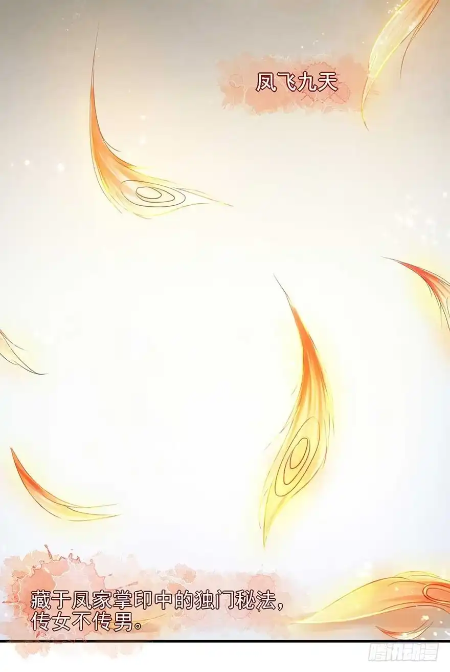 《烈火狂妃：兽性王爷硬要宠》人生如戏，全靠演技 第6页