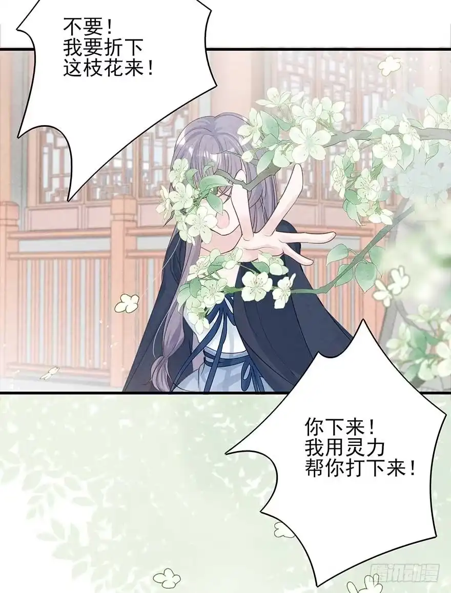 《烈火狂妃：兽性王爷硬要宠》来啊！互相伤害啊！ 第7页