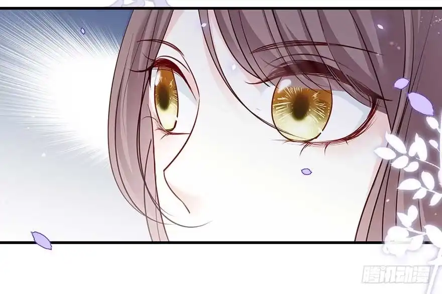 《烈火狂妃：兽性王爷硬要宠》战王的独白① 第29页