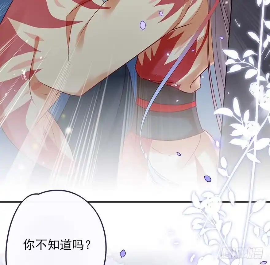 《烈火狂妃：兽性王爷硬要宠》战王的独白① 第25页