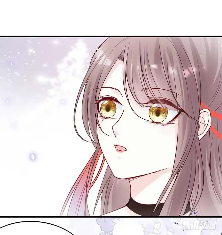 《烈火狂妃：兽性王爷硬要宠》战王的独白① 第27页