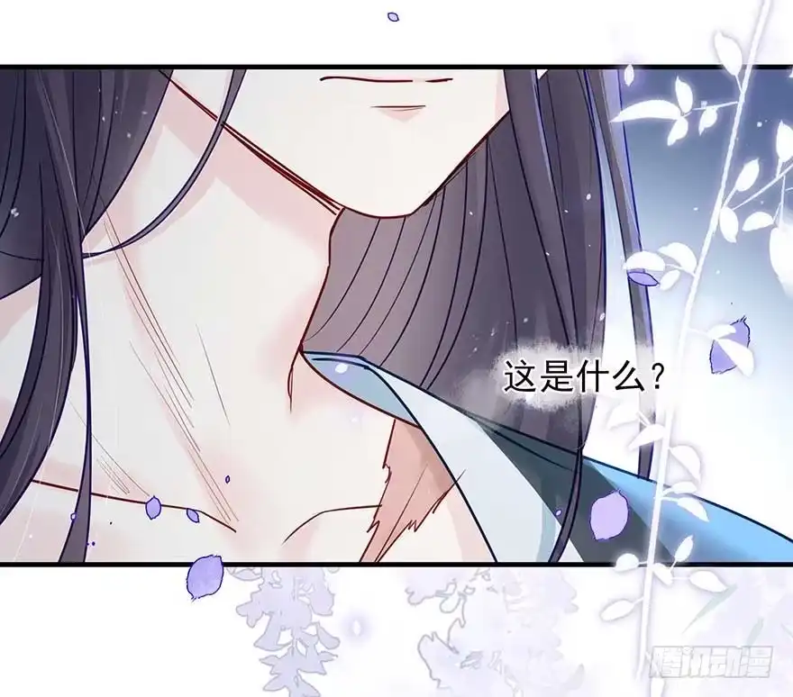 《烈火狂妃：兽性王爷硬要宠》战王的独白① 第30页