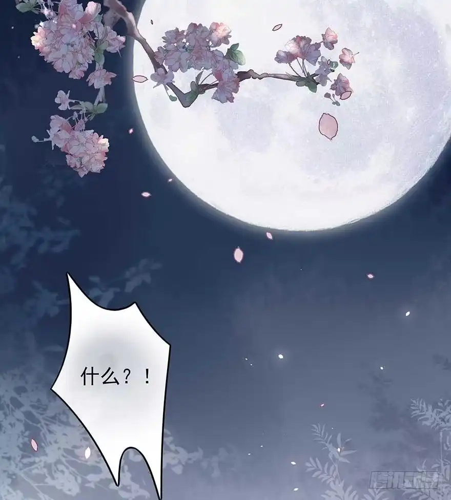 《烈火狂妃：兽性王爷硬要宠》战王的独白① 第48页