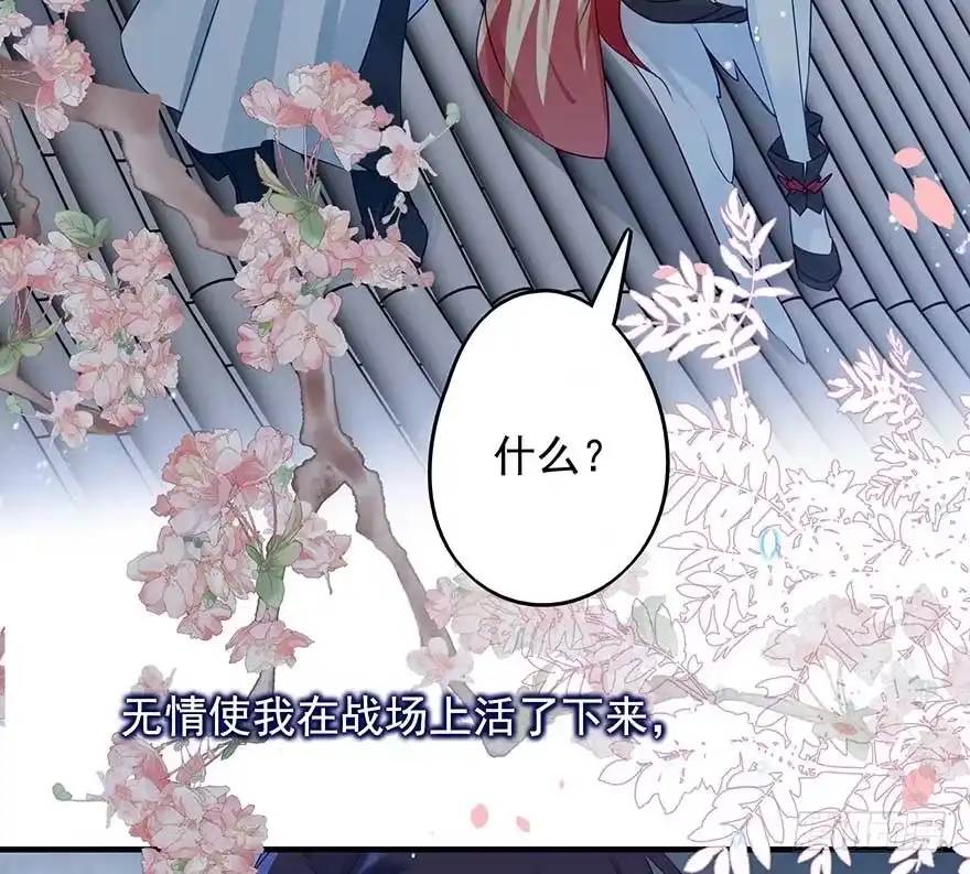 《烈火狂妃：兽性王爷硬要宠》战王的独白② 第24页