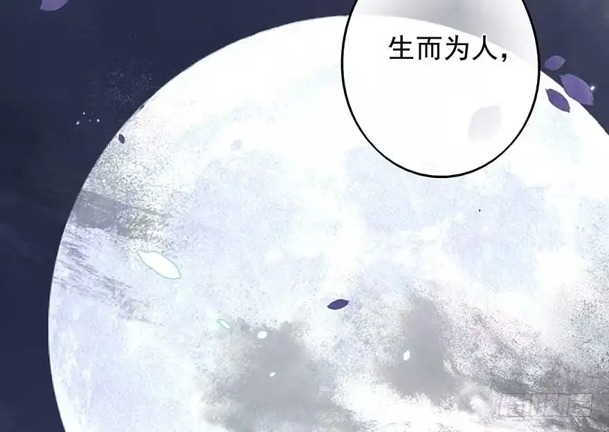 《烈火狂妃：兽性王爷硬要宠》战王的独白② 第27页