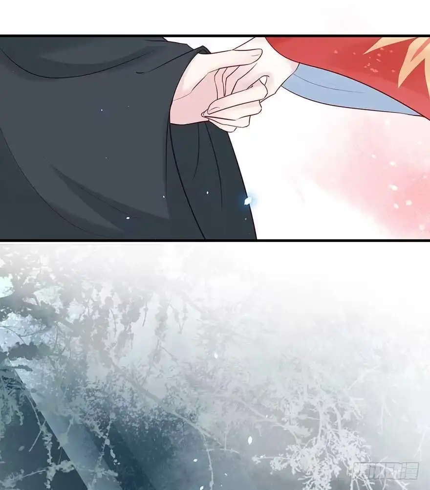 《烈火狂妃：兽性王爷硬要宠》澜儿，我们走！ 第49页