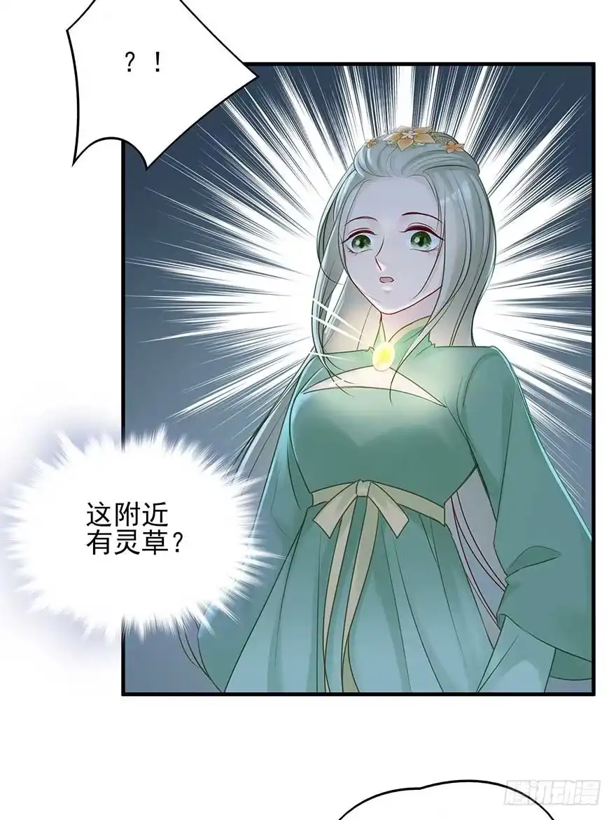 《烈火狂妃：兽性王爷硬要宠》澜儿，我们走！ 第5页
