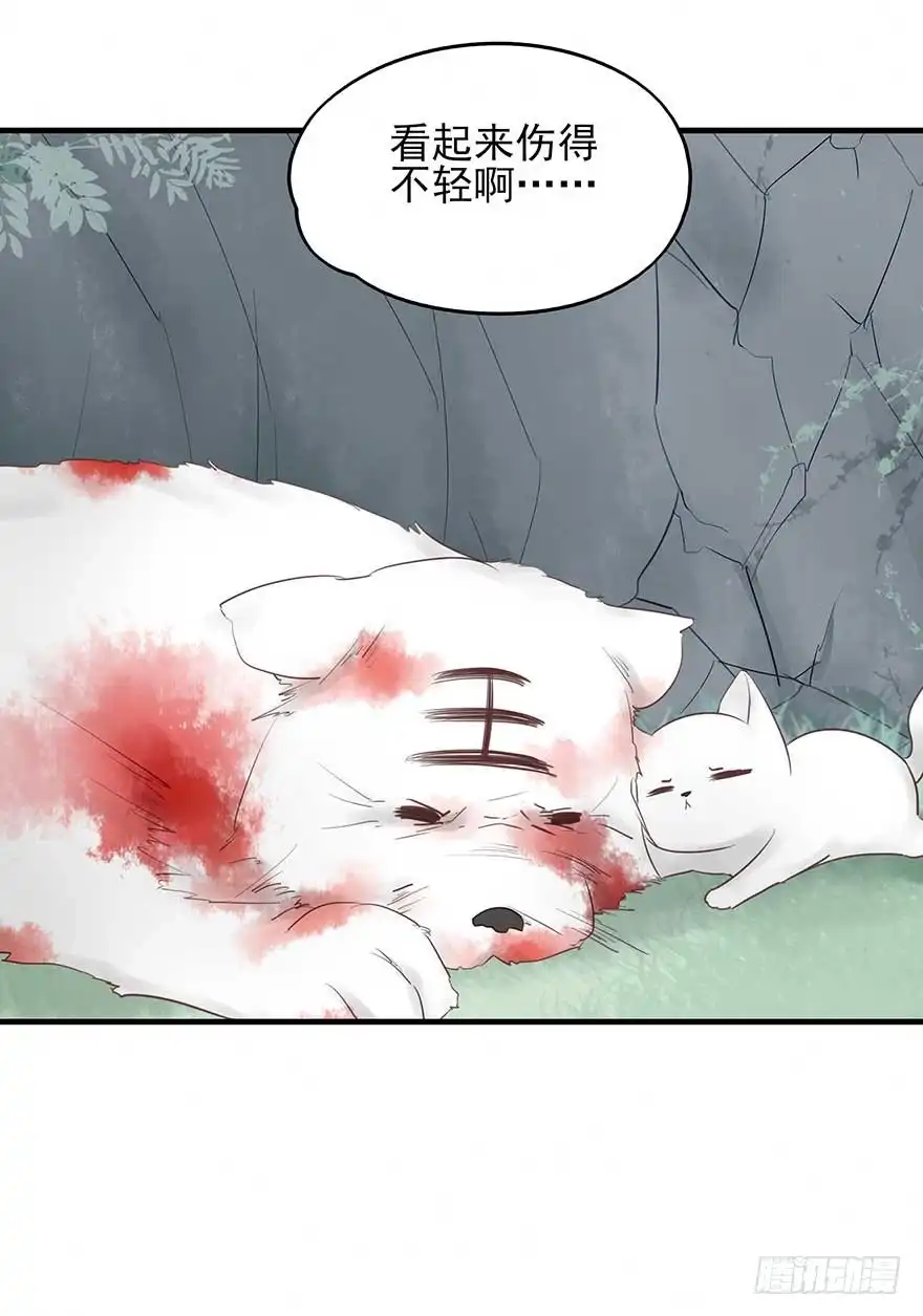 《烈火狂妃：兽性王爷硬要宠》我不管！要死一起死！ 第100页