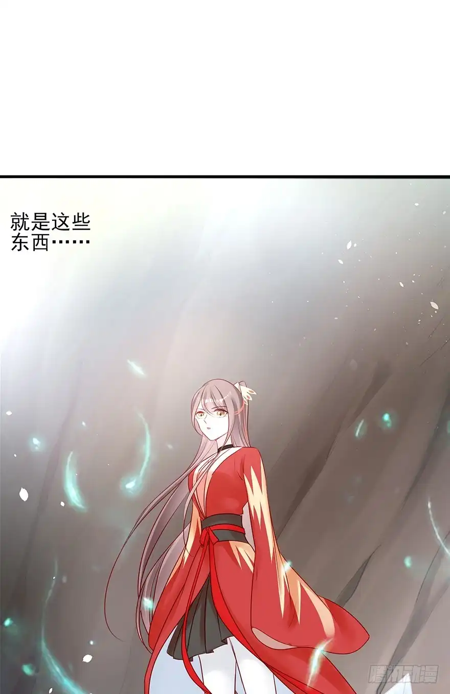 《烈火狂妃：兽性王爷硬要宠》从此都是没妈的孩子 第10页