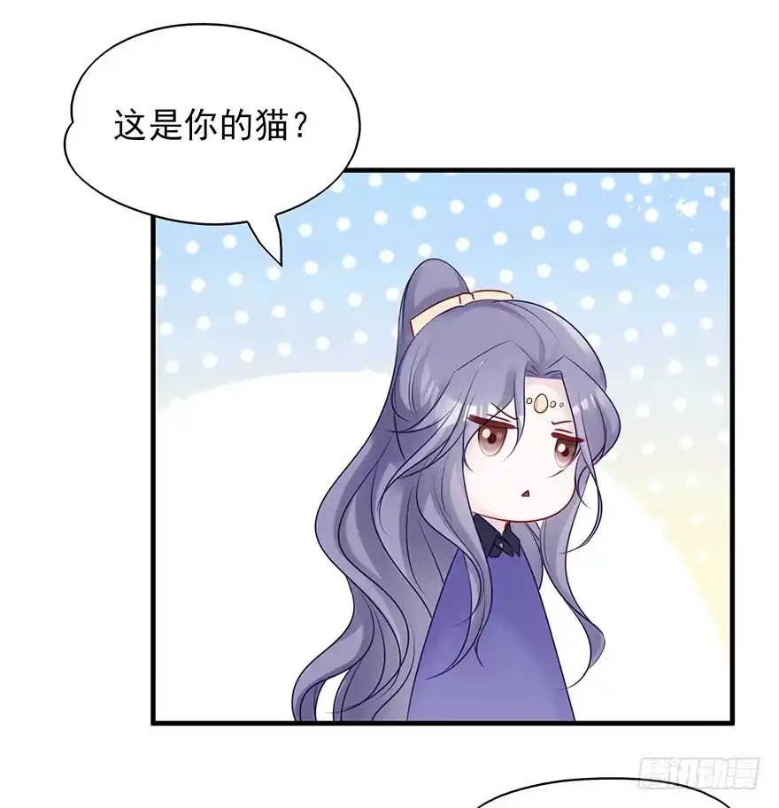 《烈火狂妃：兽性王爷硬要宠》美丽南笙，在线怼人 第19页