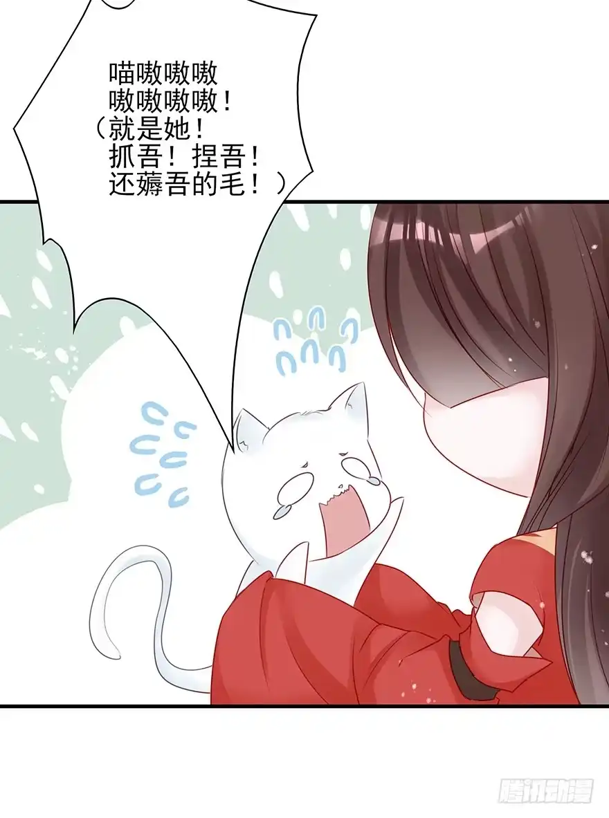 《烈火狂妃：兽性王爷硬要宠》美丽南笙，在线怼人 第18页