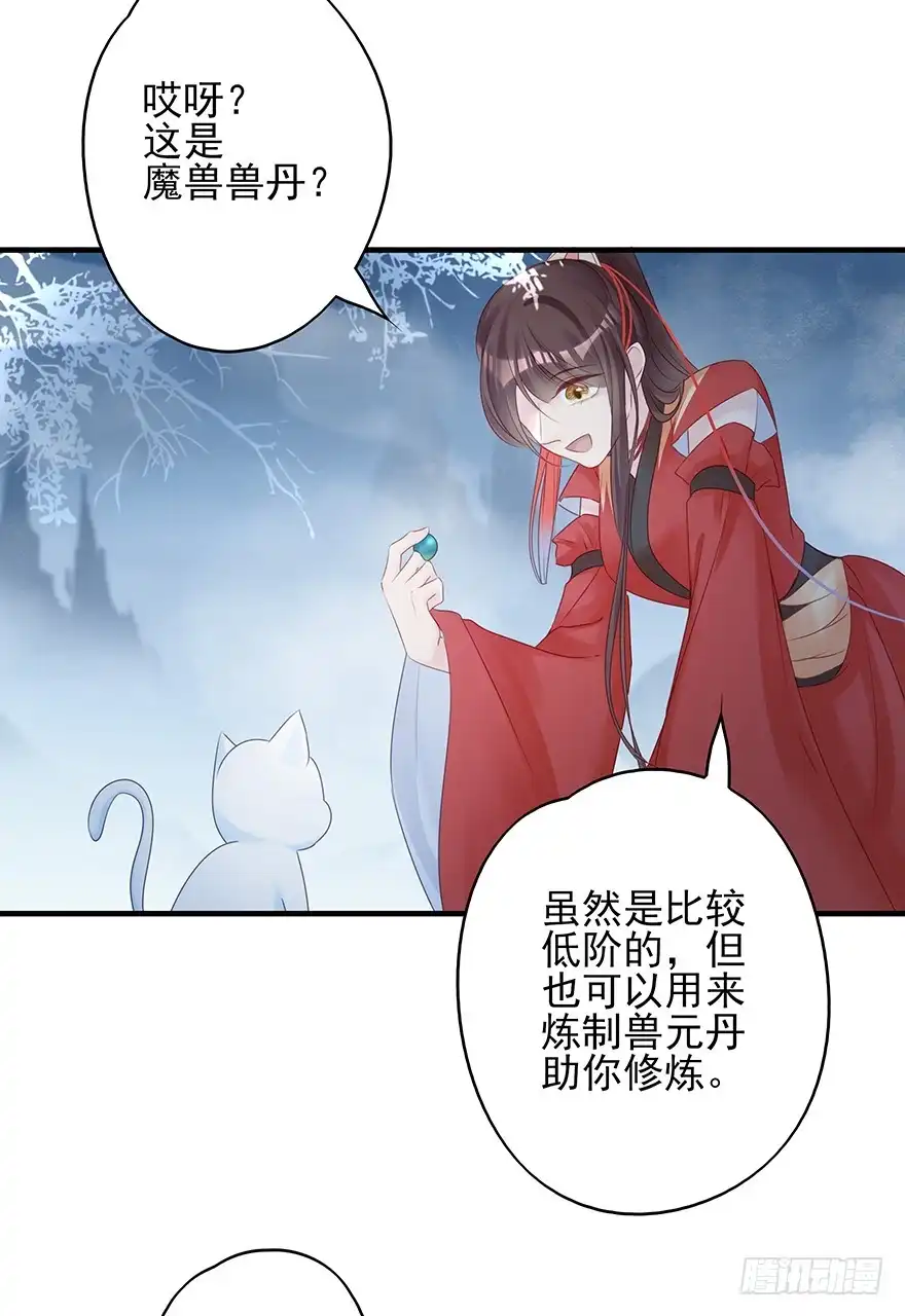 《烈火狂妃：兽性王爷硬要宠》收徒吗？比你大好几百岁的那种 第31页