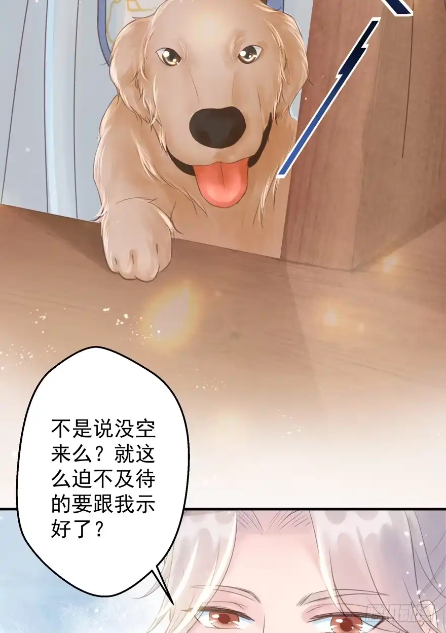 《烈火狂妃：兽性王爷硬要宠》酒宴带狗赴，上桌斗地主 第26页