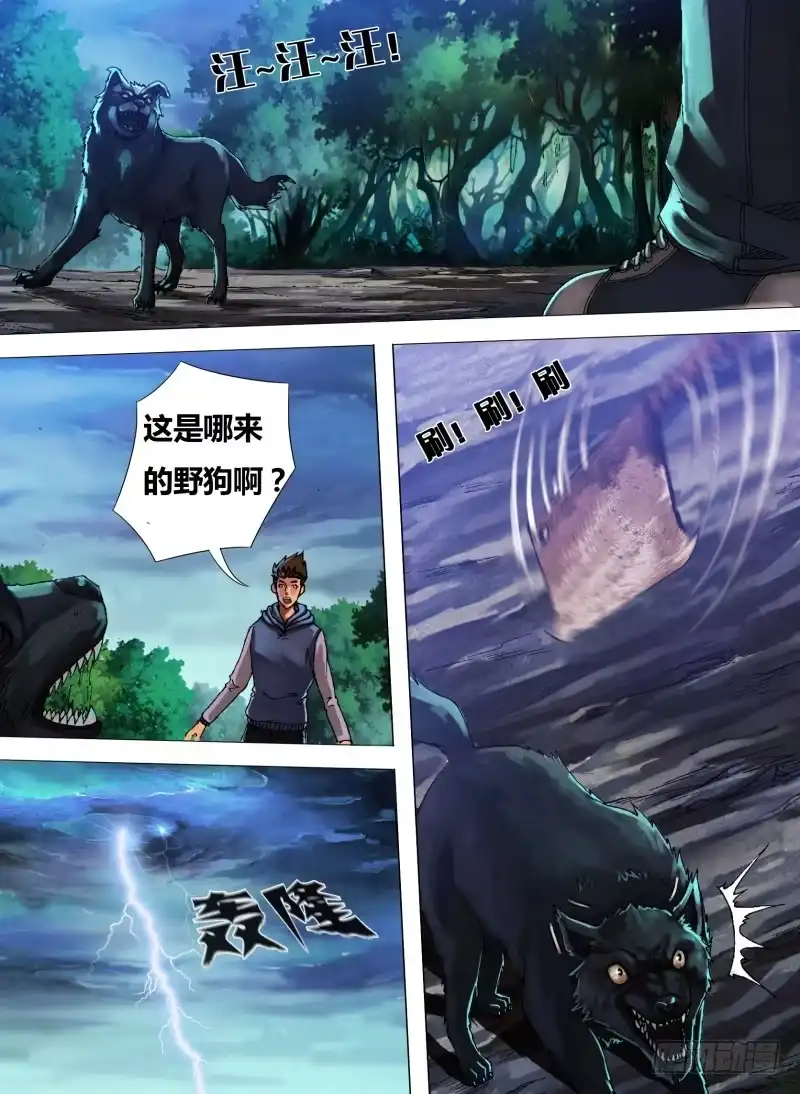 猎灵神医（地狱神医） 第二十四章 真伪莫辨 第4页