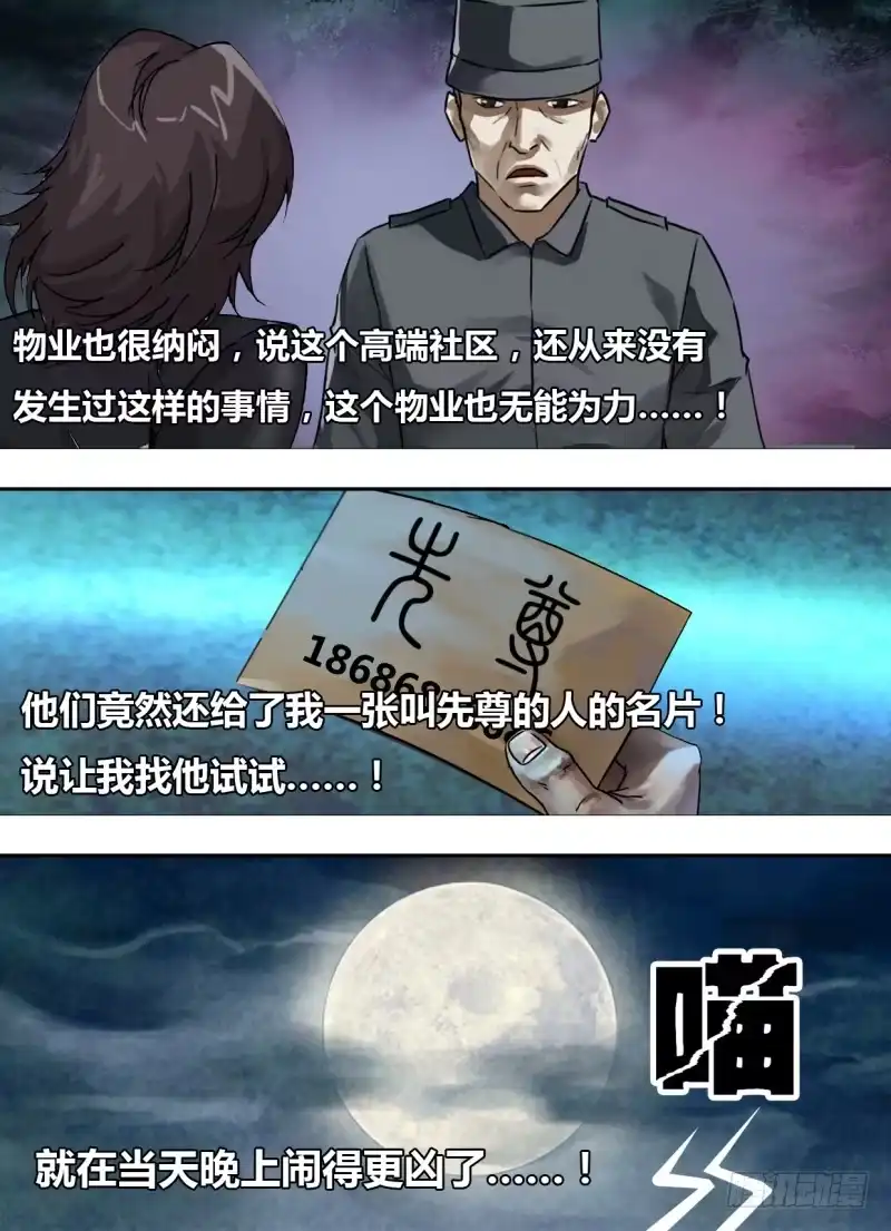 猎灵神医（地狱神医） 第二百四十一章 物是人非 第2页